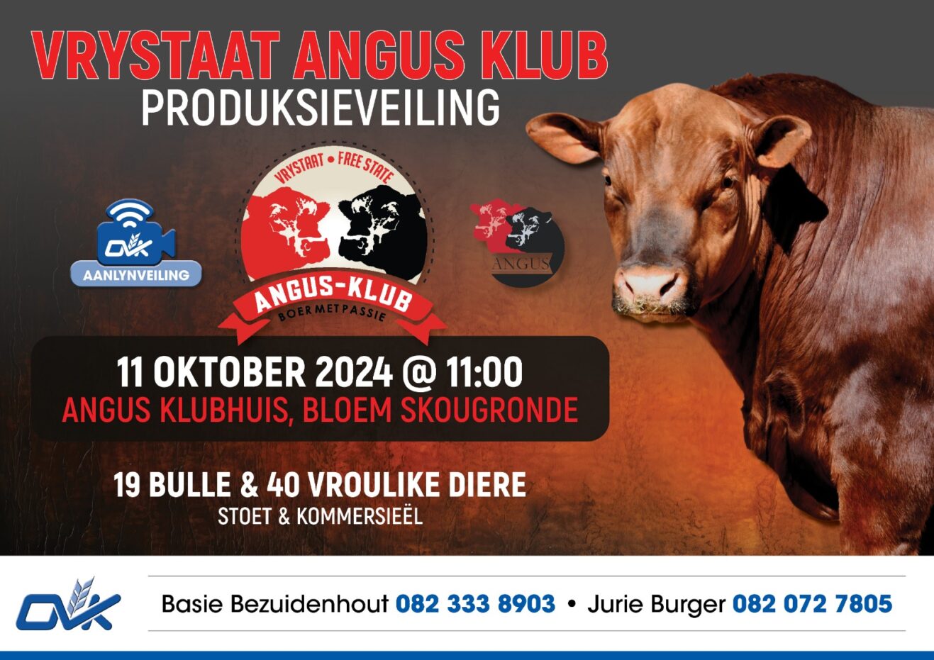 Vrystaat Angus Klubveiling