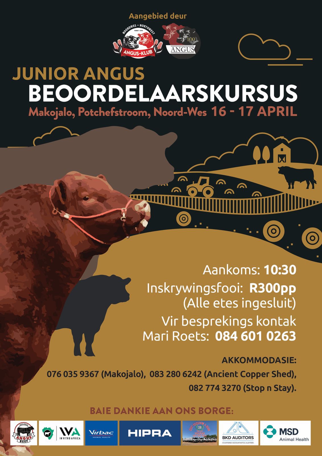 Junior Angus Judging Course