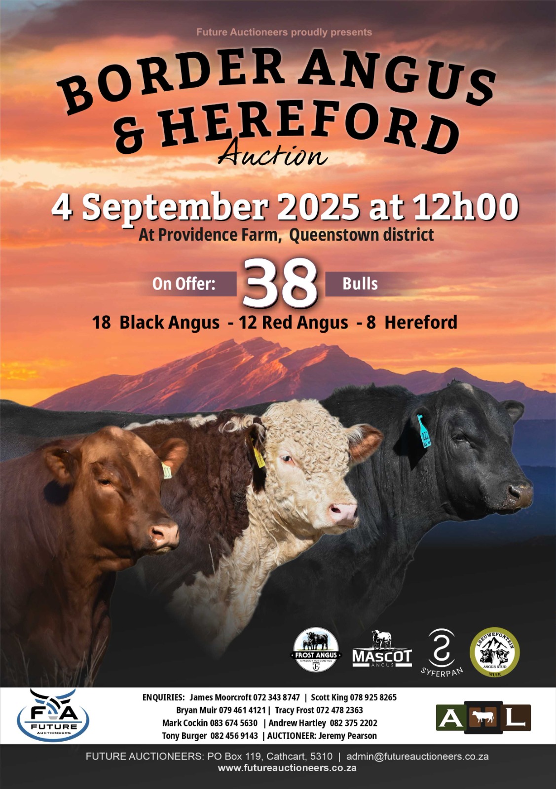 Border Angus Sale