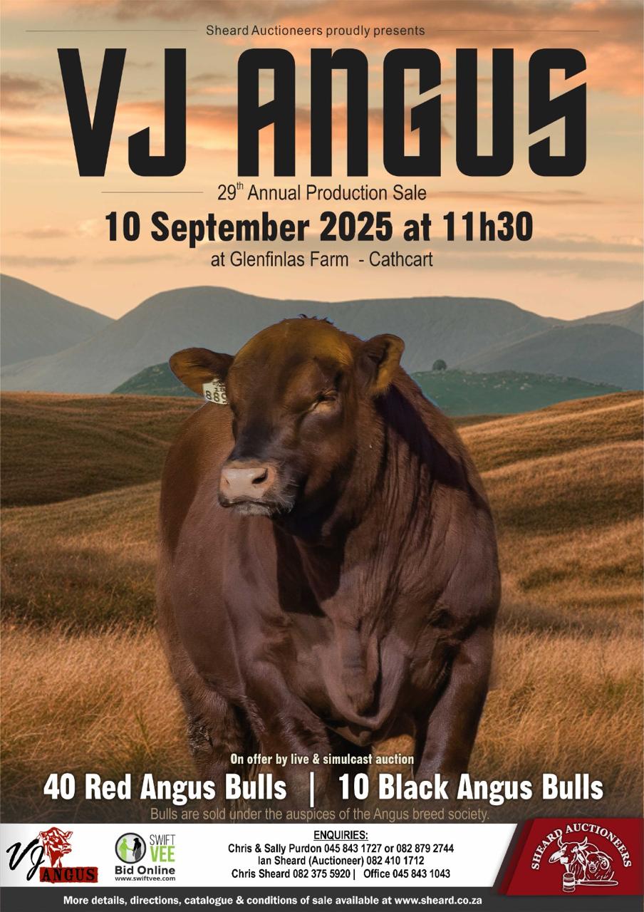 VJ Angus Sale