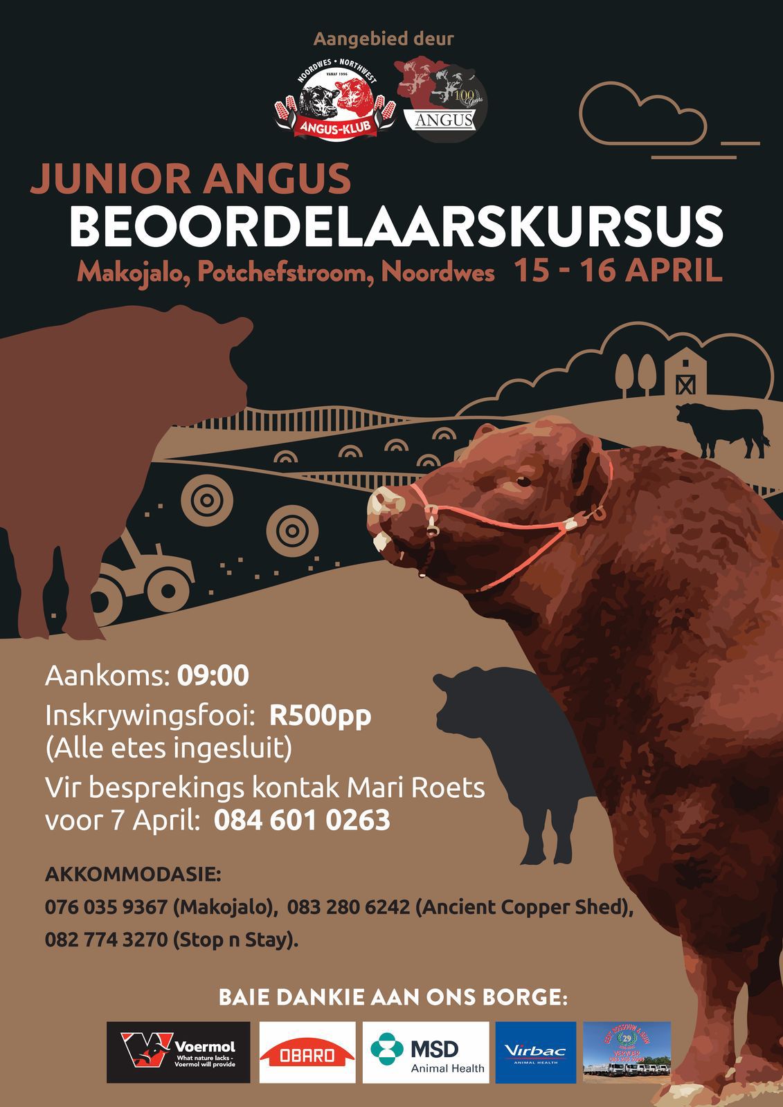 Junior Angus Beoordelaarskursus