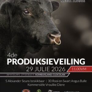 Mega Angus Veiling