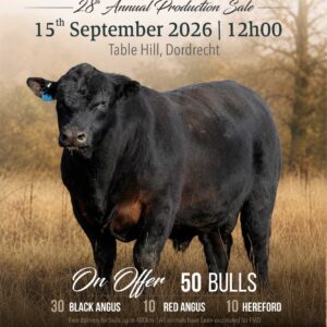 Dunedin Angus Sale