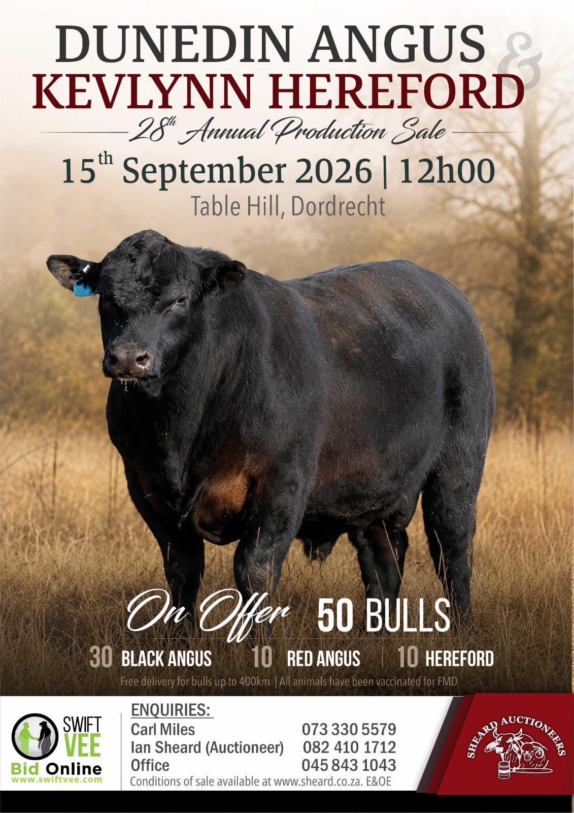Dunedin Angus Sale