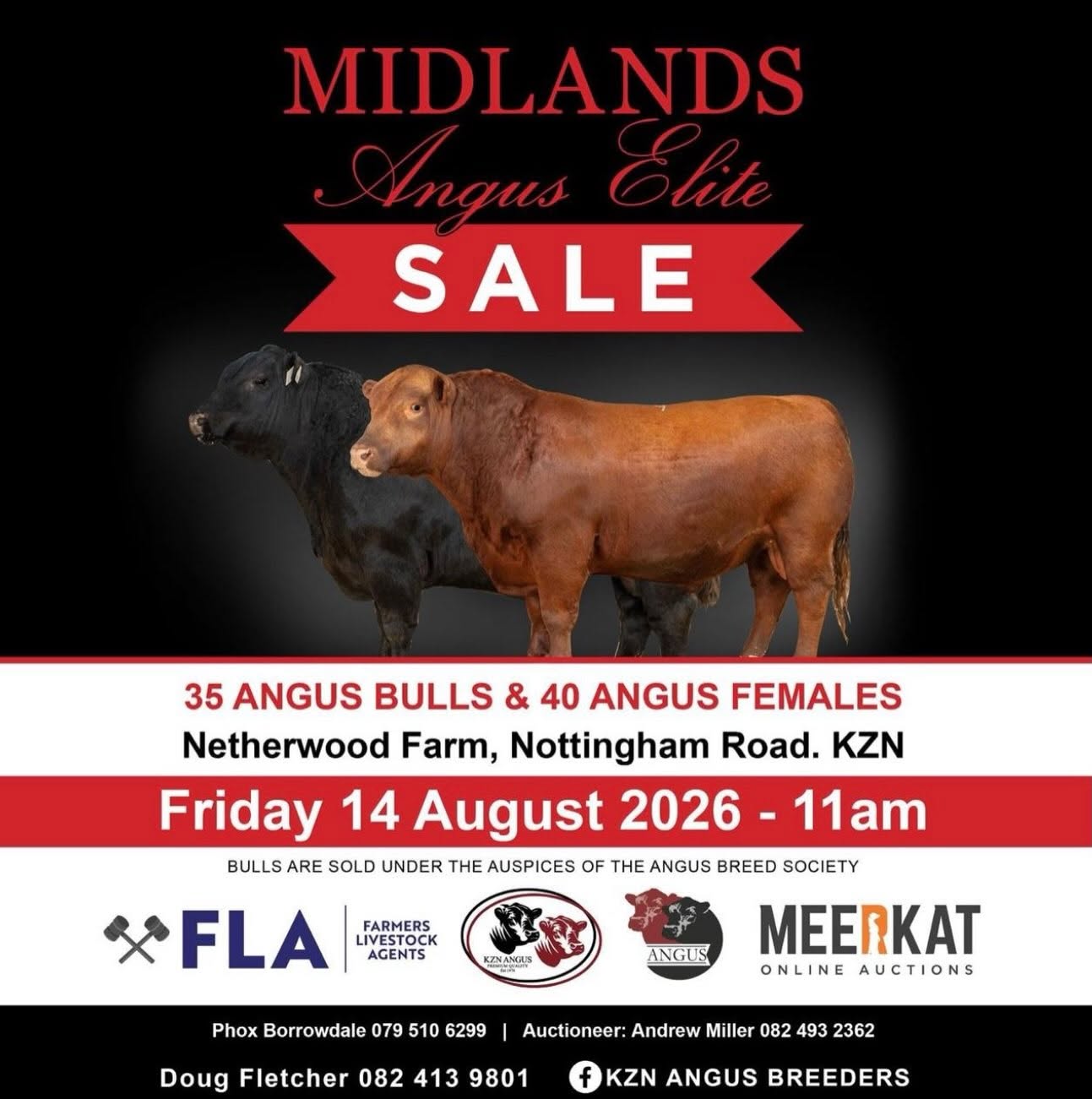 Midlands Elite Angus Sale