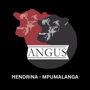 Astro Angus Veiling