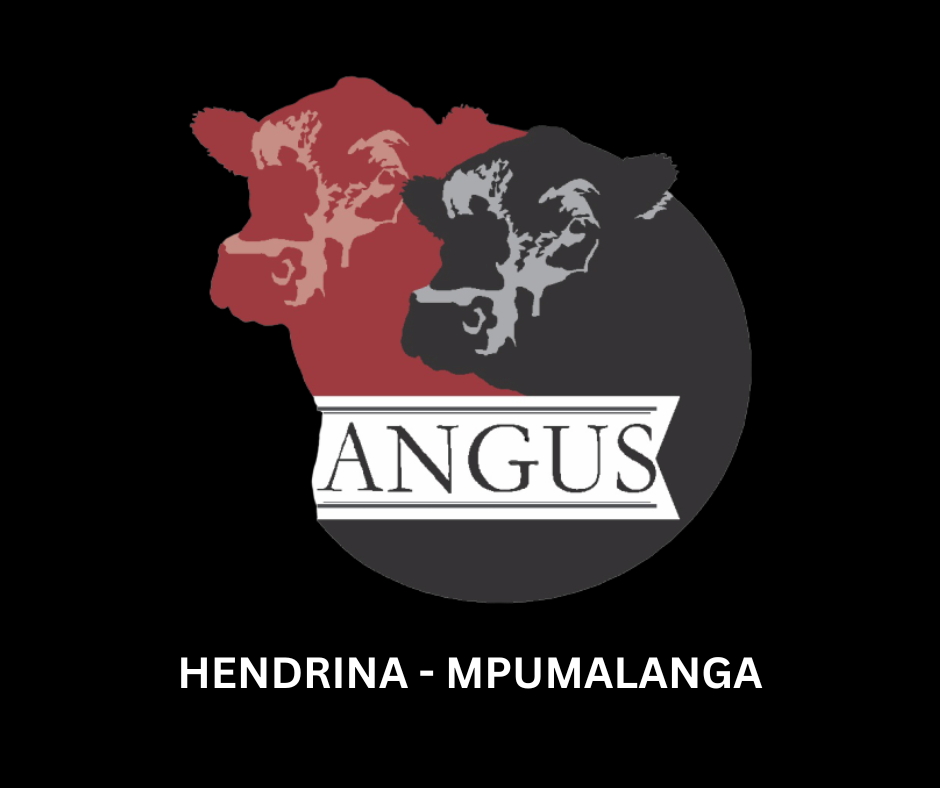Astro Angus Veiling