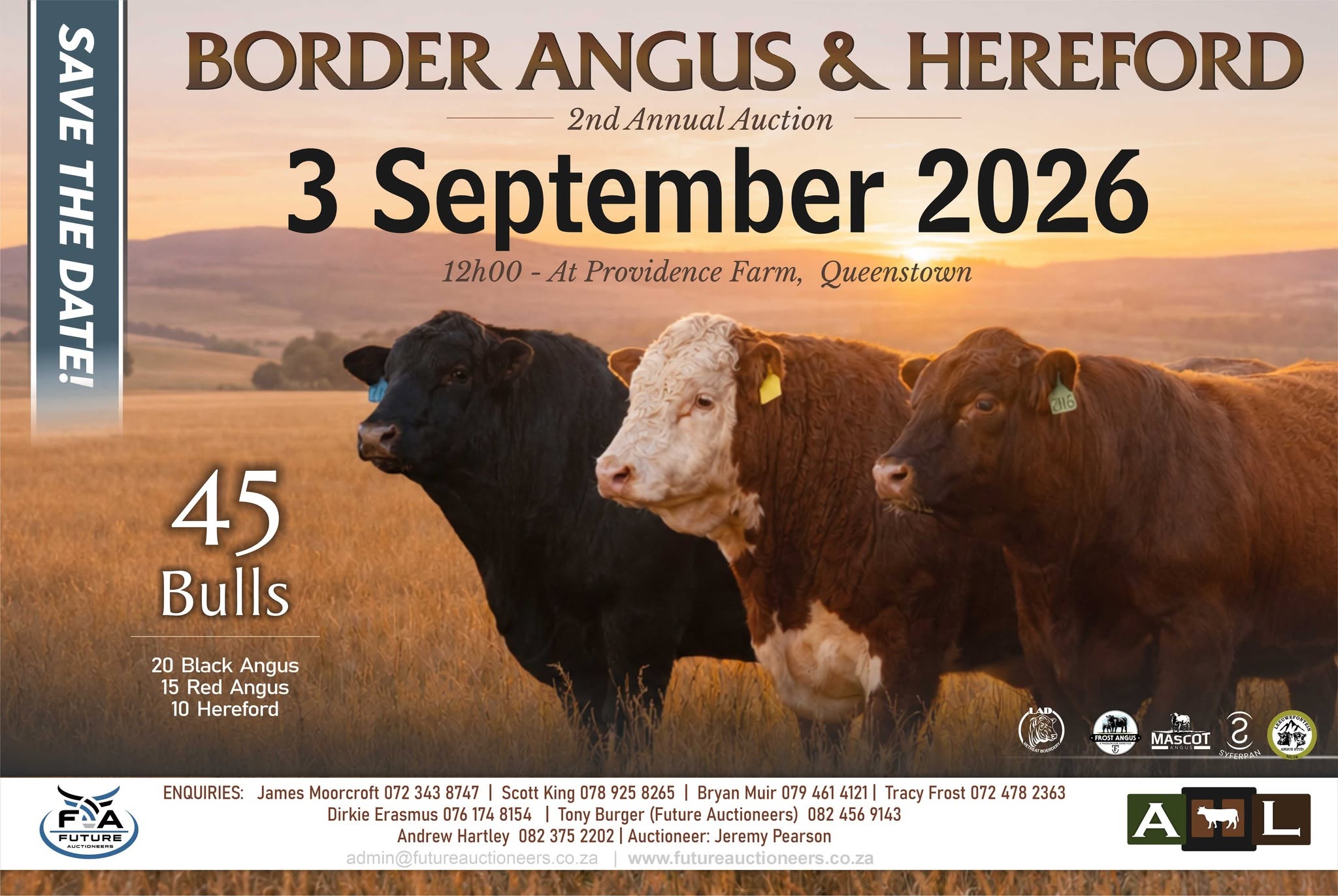 Border Angus Sale