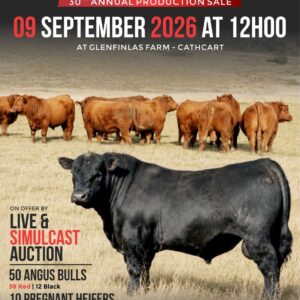 VJ Angus Sale