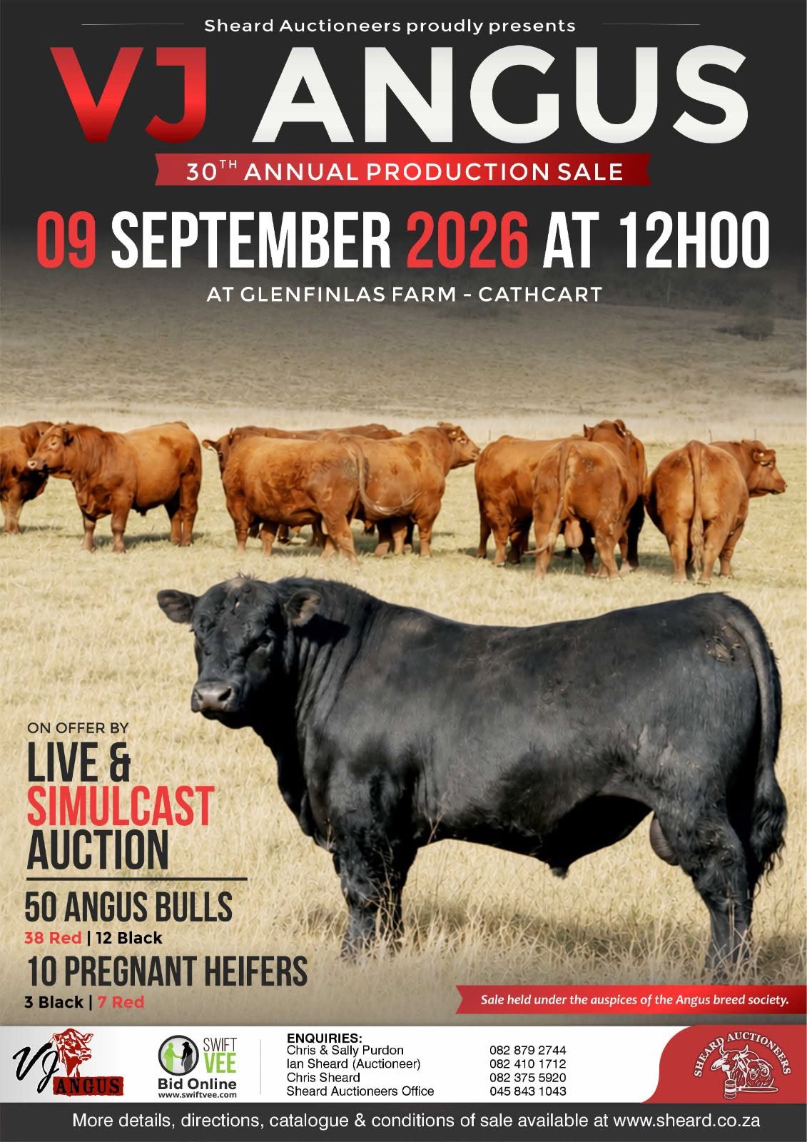 VJ Angus Sale
