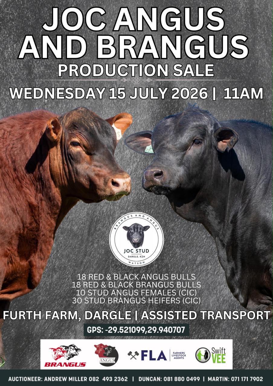 JOC Production Sale