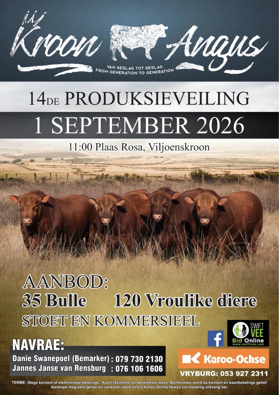 Kroon Angus Veiling