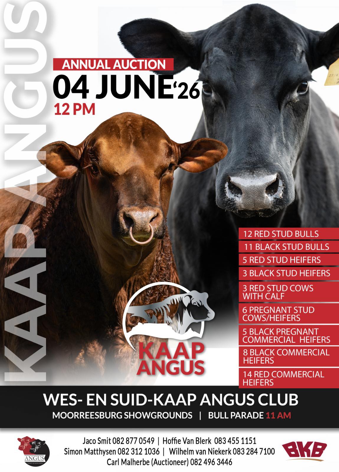 Wes-en Suid Kaap Angusklub Veiling