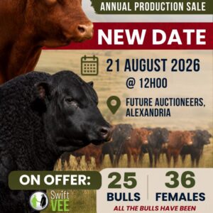 East Cape Angus Sale